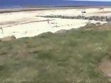 Blonde Pissing At The Beach
