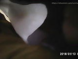 Local collage girls Upskirt