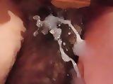 HAIRY PUSSY SHIMA FULL