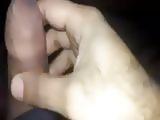 my cock