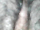 Pussy