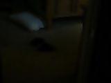 Prude Asian wife taking it deep