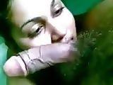 For New Members 36