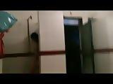 vn bathroom